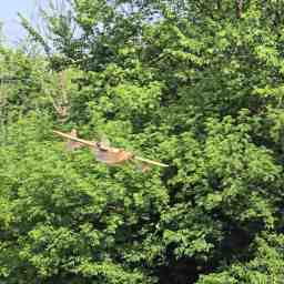 The Sea Duck in the air in front of some trees