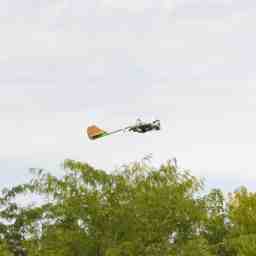 The plane in flight as seen from the side