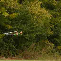 The plane in flight at a lower altitude