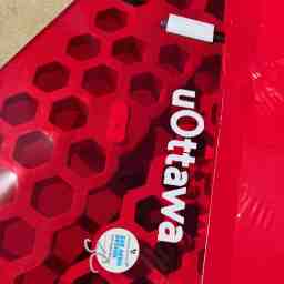 le logo de l'Université d'Ottawa sur l'avion