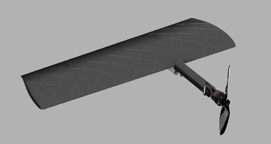 Starling's wing in CAD